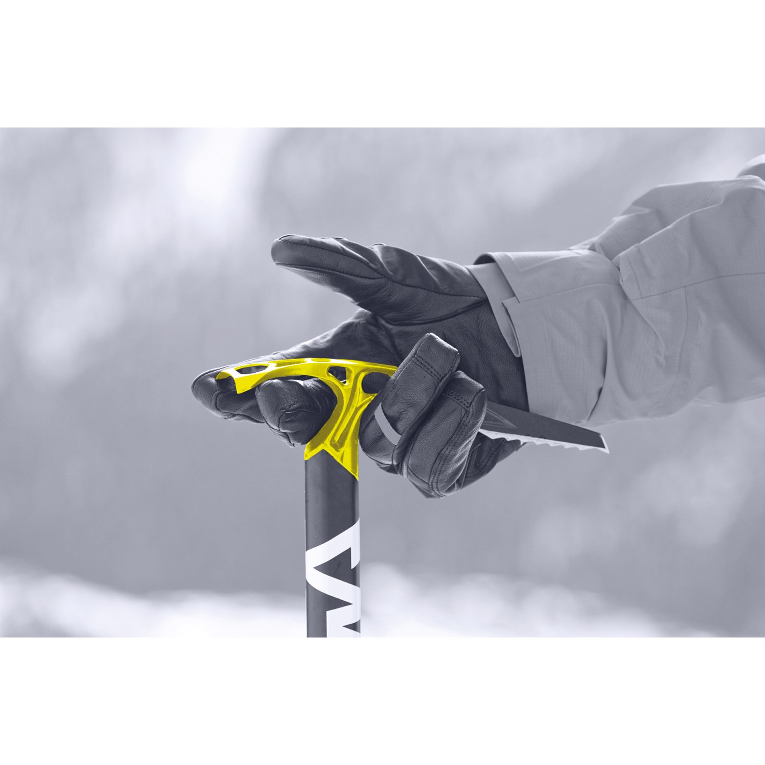 Salewa Alpine X Test 4